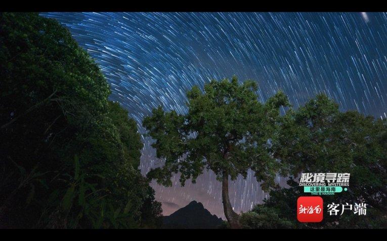 双向奔赴 沈阳打造央地合作新样板
